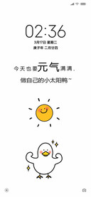 小太阳鸭