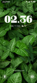 green leaves