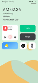 Zomato V12
