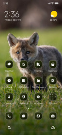 Baby Fox