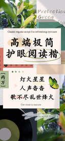 高端极简护眼阅读楷