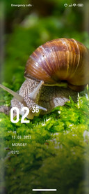 Moss