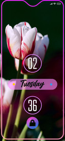 Tulip2