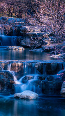 Spring scenery in the botanical garden