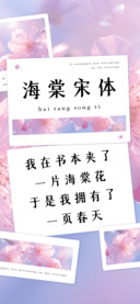 海棠宋体