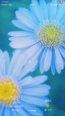 小小白花