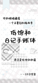 低饱和日记手账体