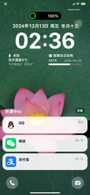 残绿晚荷