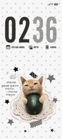 冰镇冬瓜猫