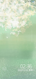 春雨花又落