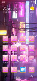 The Pink Capital