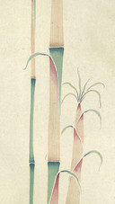 毕立伟 上上签