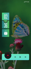ButterFly5