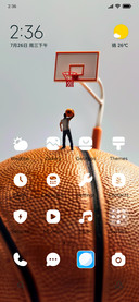 big basketball