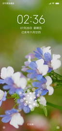 清新护眼一枝花