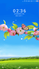 穿花蛱蝶