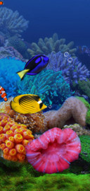 超级梦幻水族馆