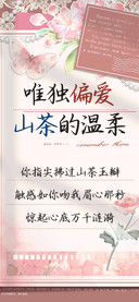 唯独偏爱山茶的温柔