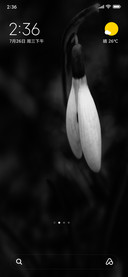 NULL BLACK