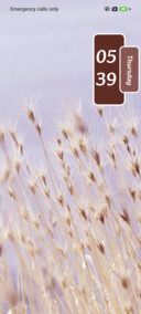 Reed Whisper