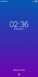 Android Q_DWM19