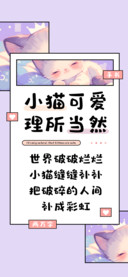 小猫可爱理所当然