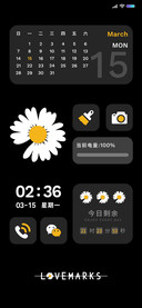 雏菊
