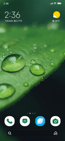 Leaf Drops
