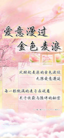 爱意漫过金色麦浪