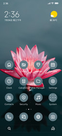 Pink Flower