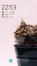 猫扑Catch