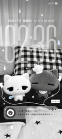 ins小猫 淡淡幸福