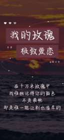 我的玫瑰极致爱恋