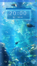 缤纷海底世界