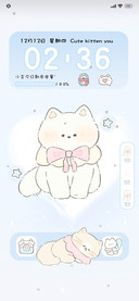 动态 雪天小猫
