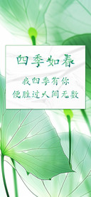 四季如春