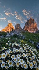 The summer scroll of dolomites