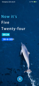 Dolphin uno