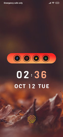 Autumn_4