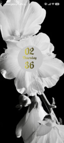 White Flower