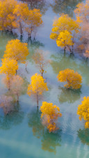 Deep in the desert the clear water heralds the arrival of