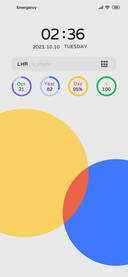 Multicolored ring