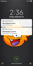 Puffle V10