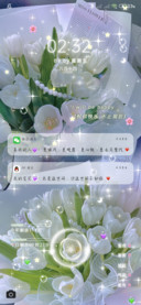 郁金香 世间不如你