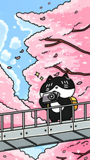 黑猫的生活漫游录