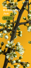 Blossoming flowers