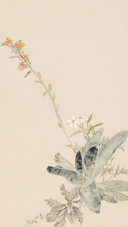 芊芊玉笔画春秋