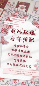 我的玫瑰与你相配