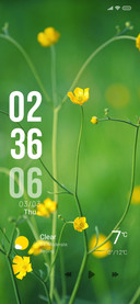 Spring Photography