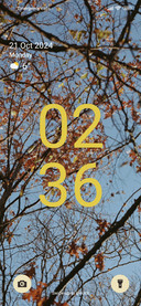 autumn